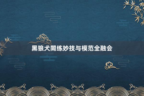 黑狼犬闇练妙技与模范全融会