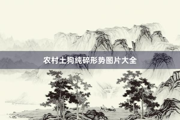 农村土狗纯碎形势图片大全